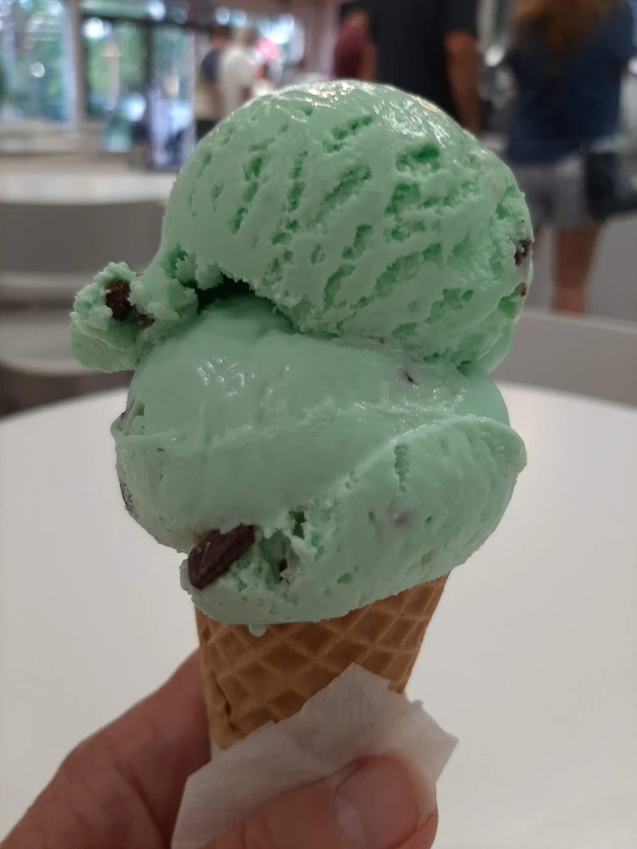 Vegan Mint Chocolate Chip Ice Cream