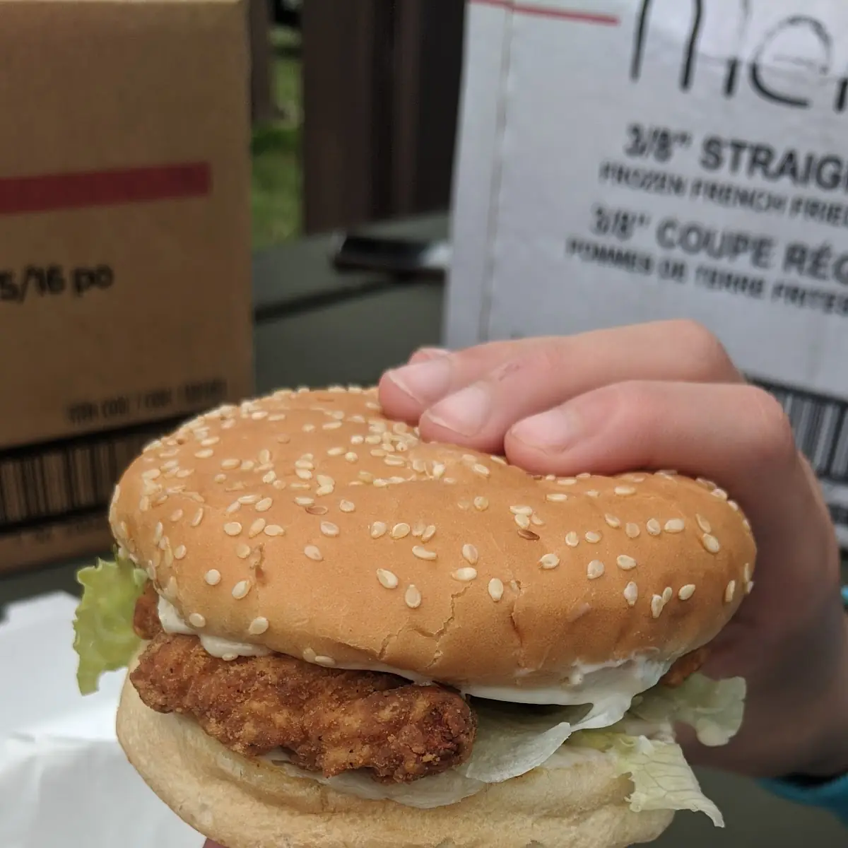 Chicken Burger