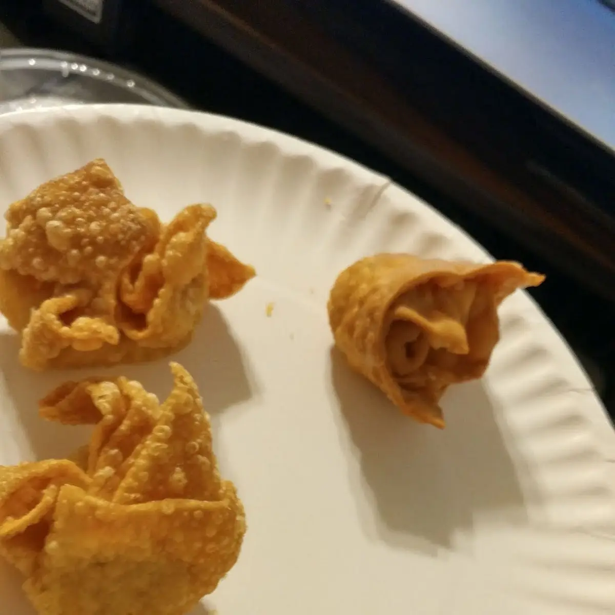 Pork Fried Wonton