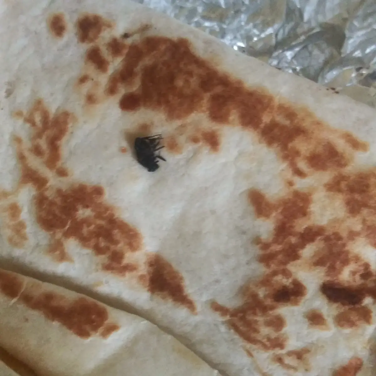 Cheese Quesadilla
