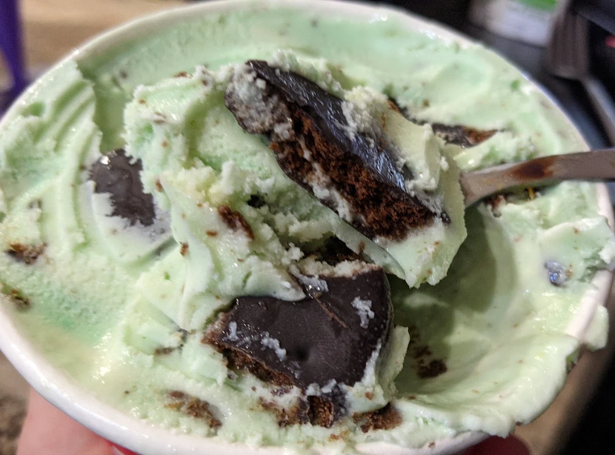 Girl Scouts Thin Mint Ice Cream
