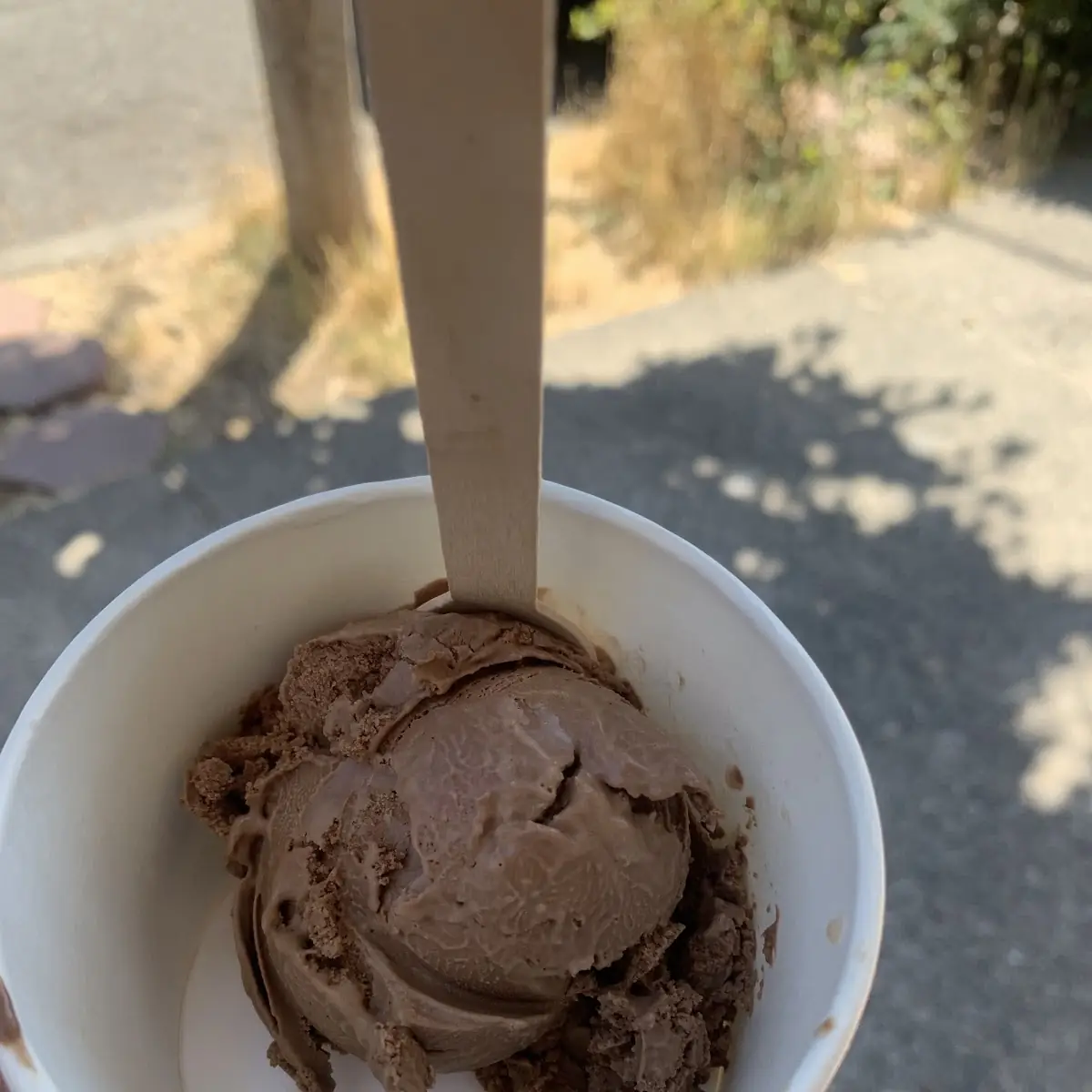 Chocolate Ice Cream