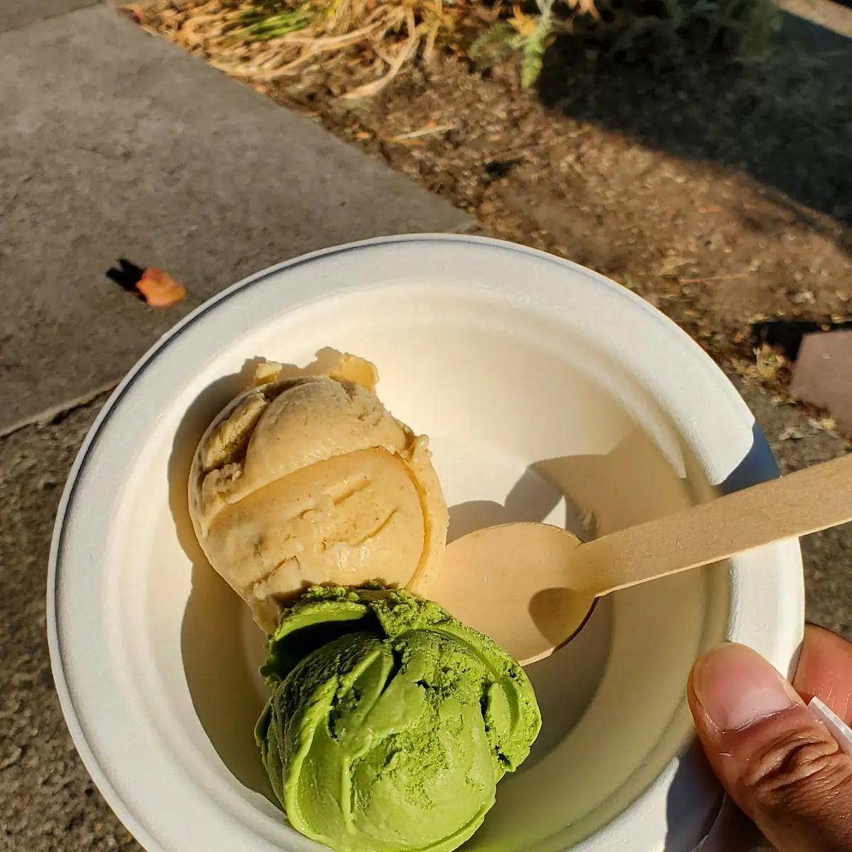 Mocha Green Tea and Toasted Milk