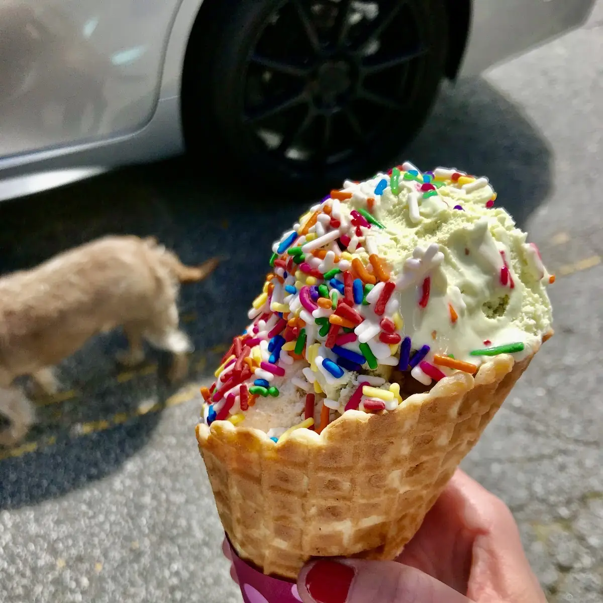Fancy Waffle Cone with Sprinkles