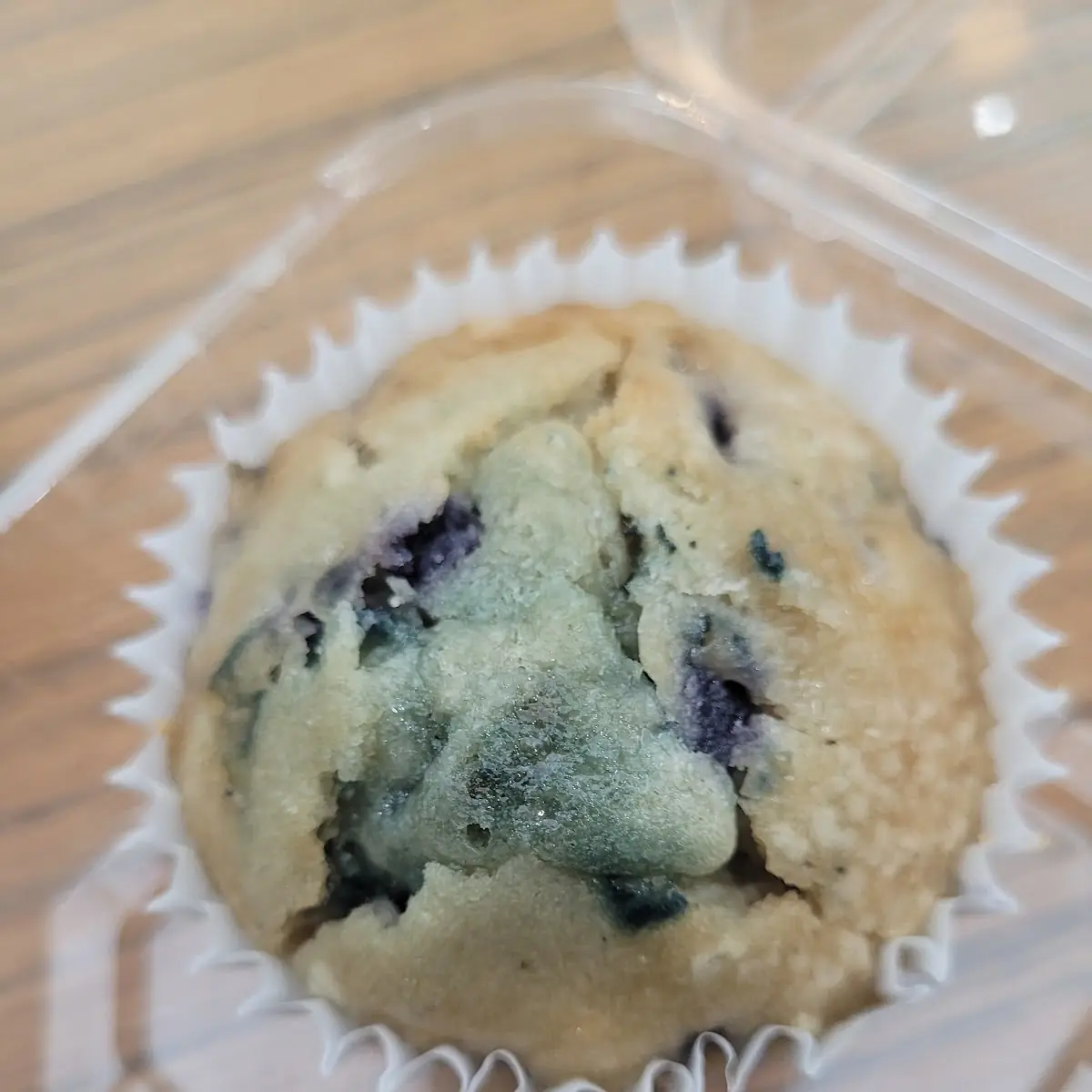 Blueberry Muffin