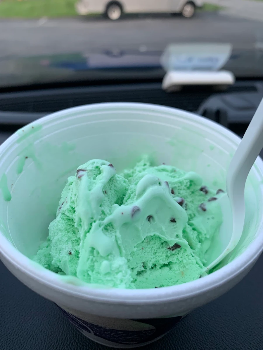Mint Chocolate Chip