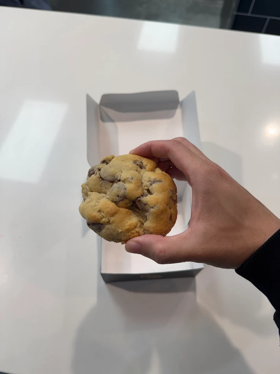 Blueberry Muffin