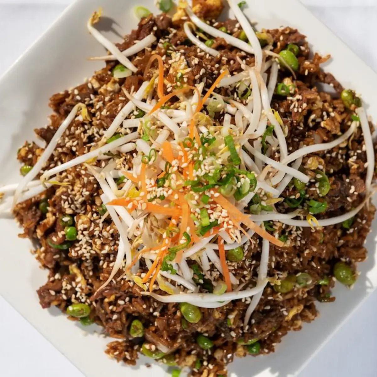 Bulgogi Fried Rice Korea