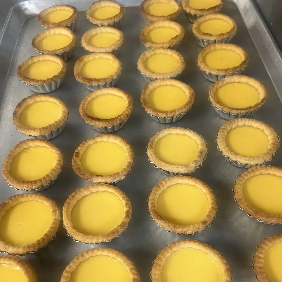 Egg Custard Tart