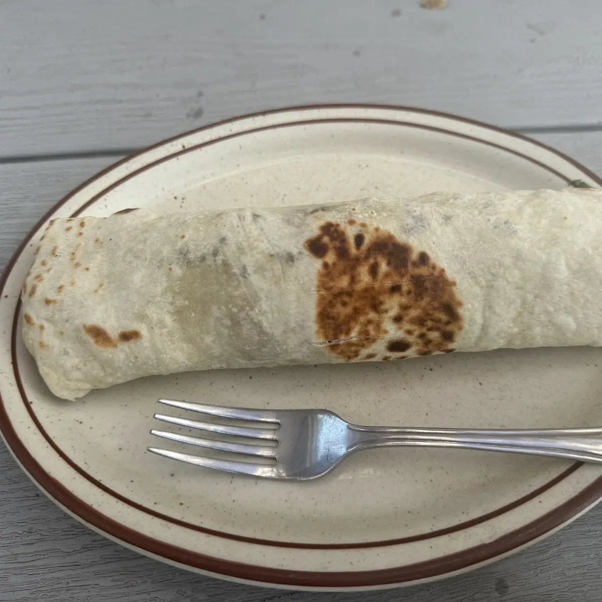 Carne Asada Burrito