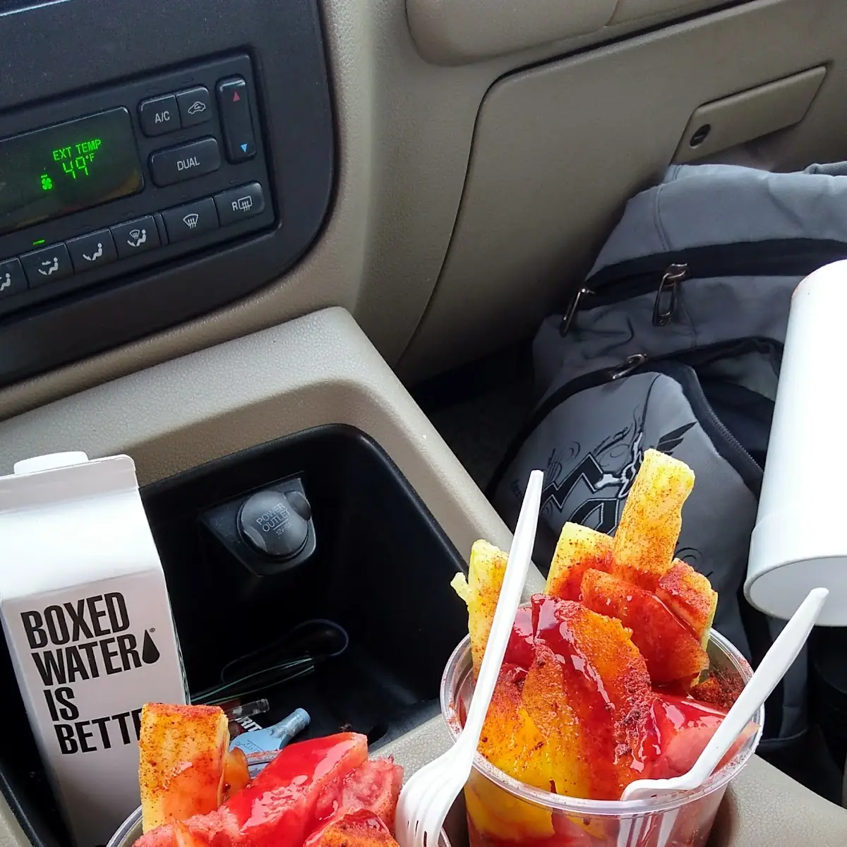 Fruit Cup