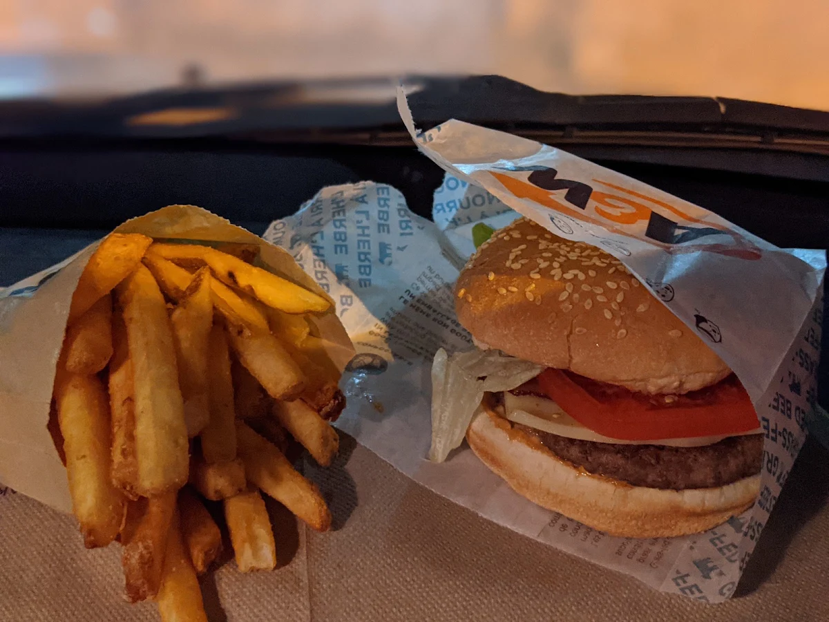 Mozza Burger and Fries