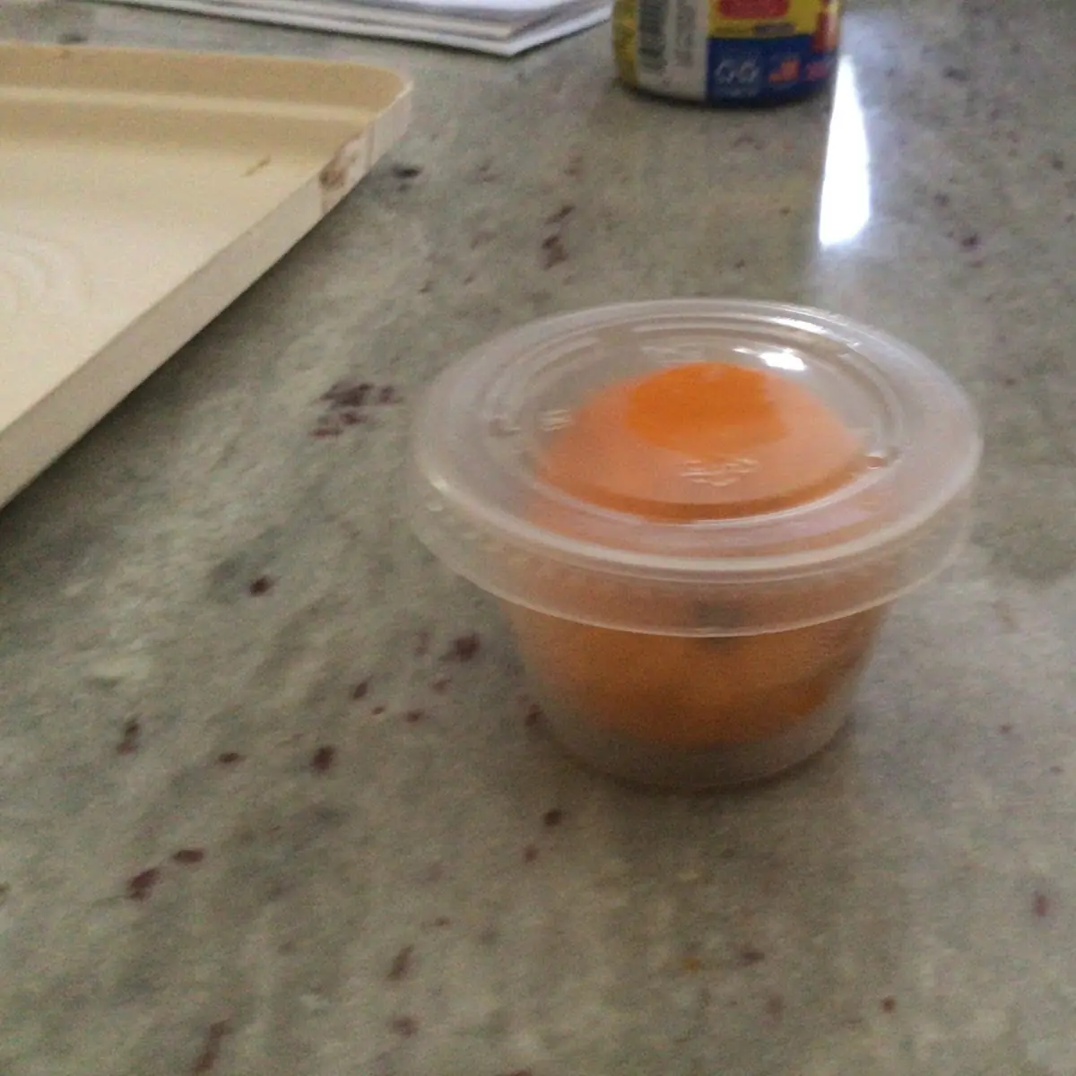 Fruit Cup