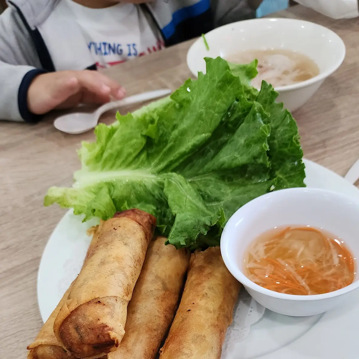 Fried Spring Rolls