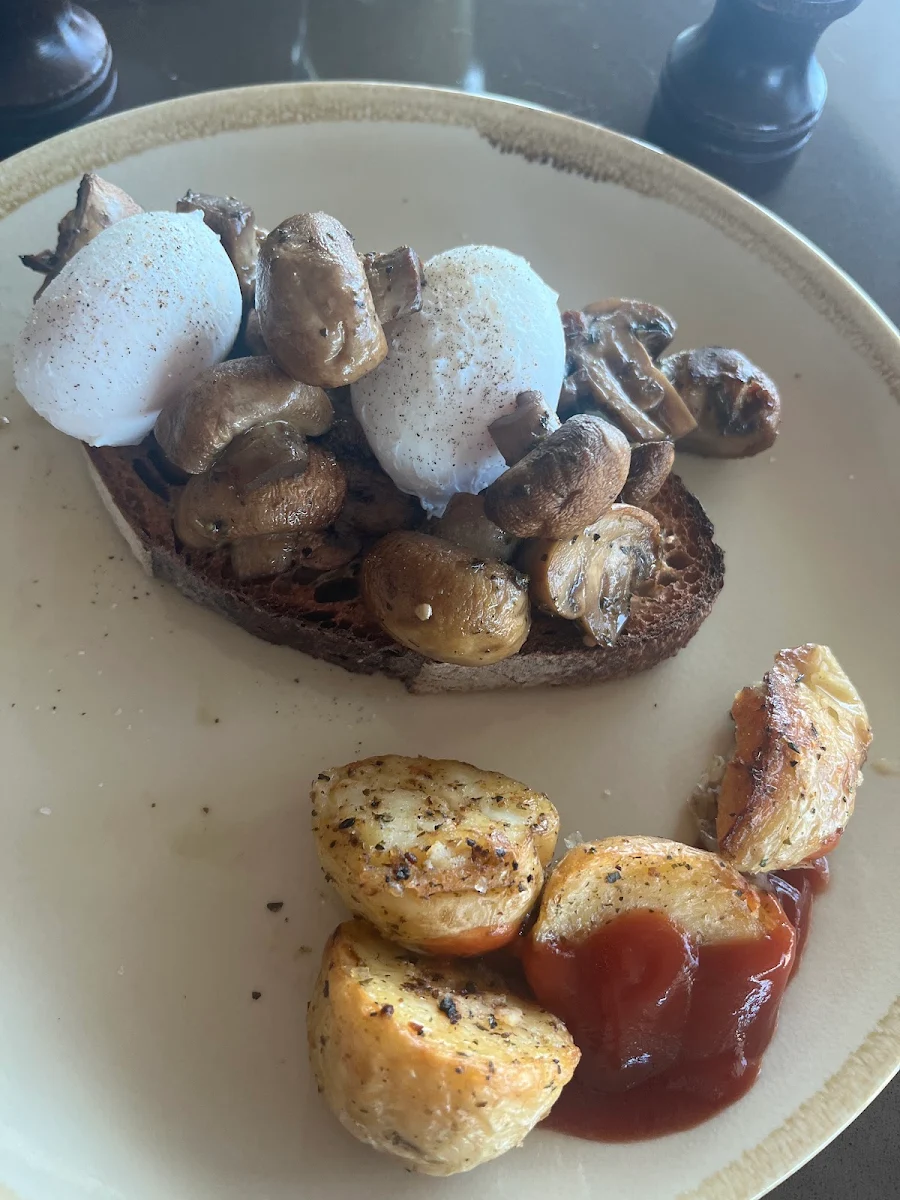 Poached Eggs and Mushrooms on Rye Toast, The Cellar Kitchen Restaurant
