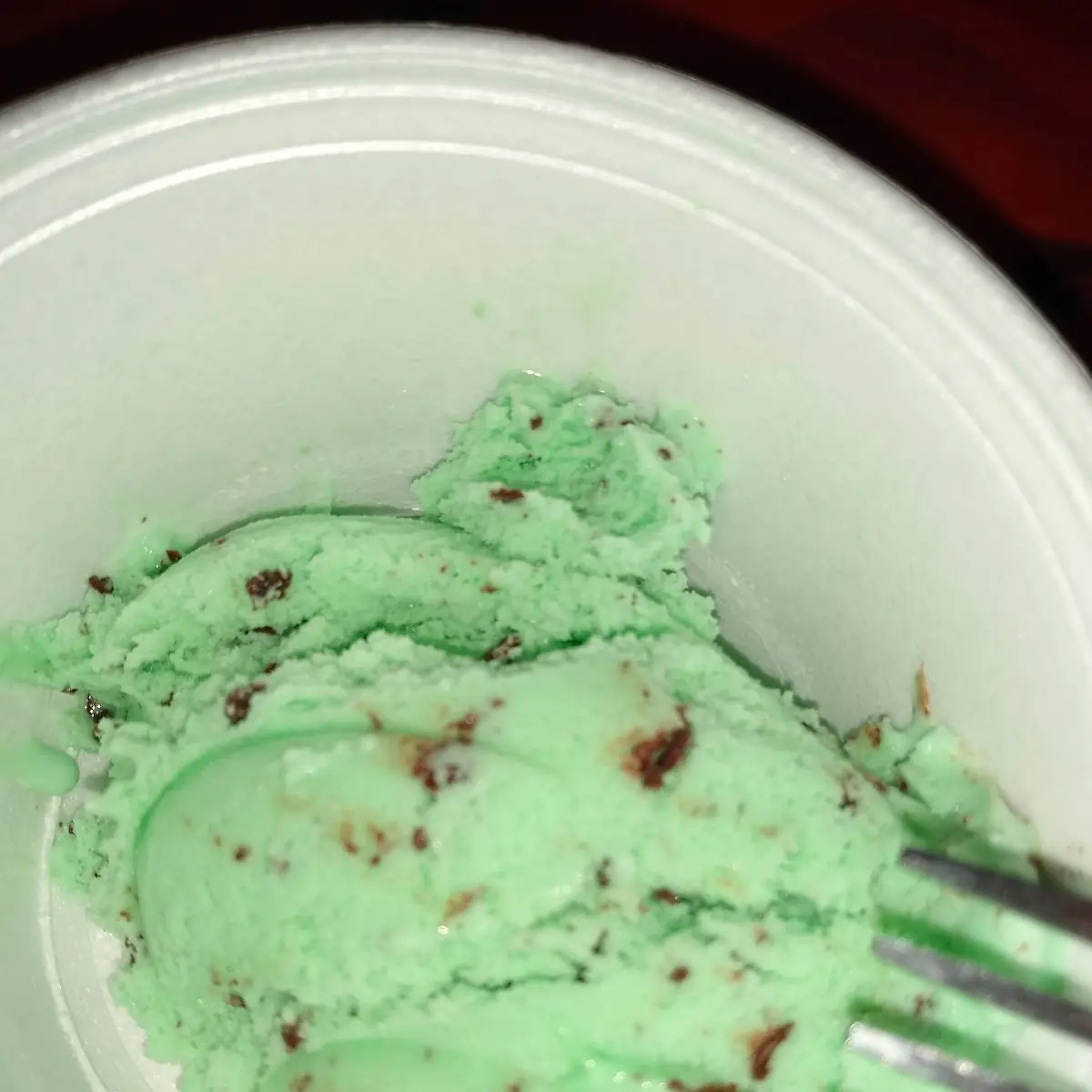 Mint Chocolate Chip Ice Cream