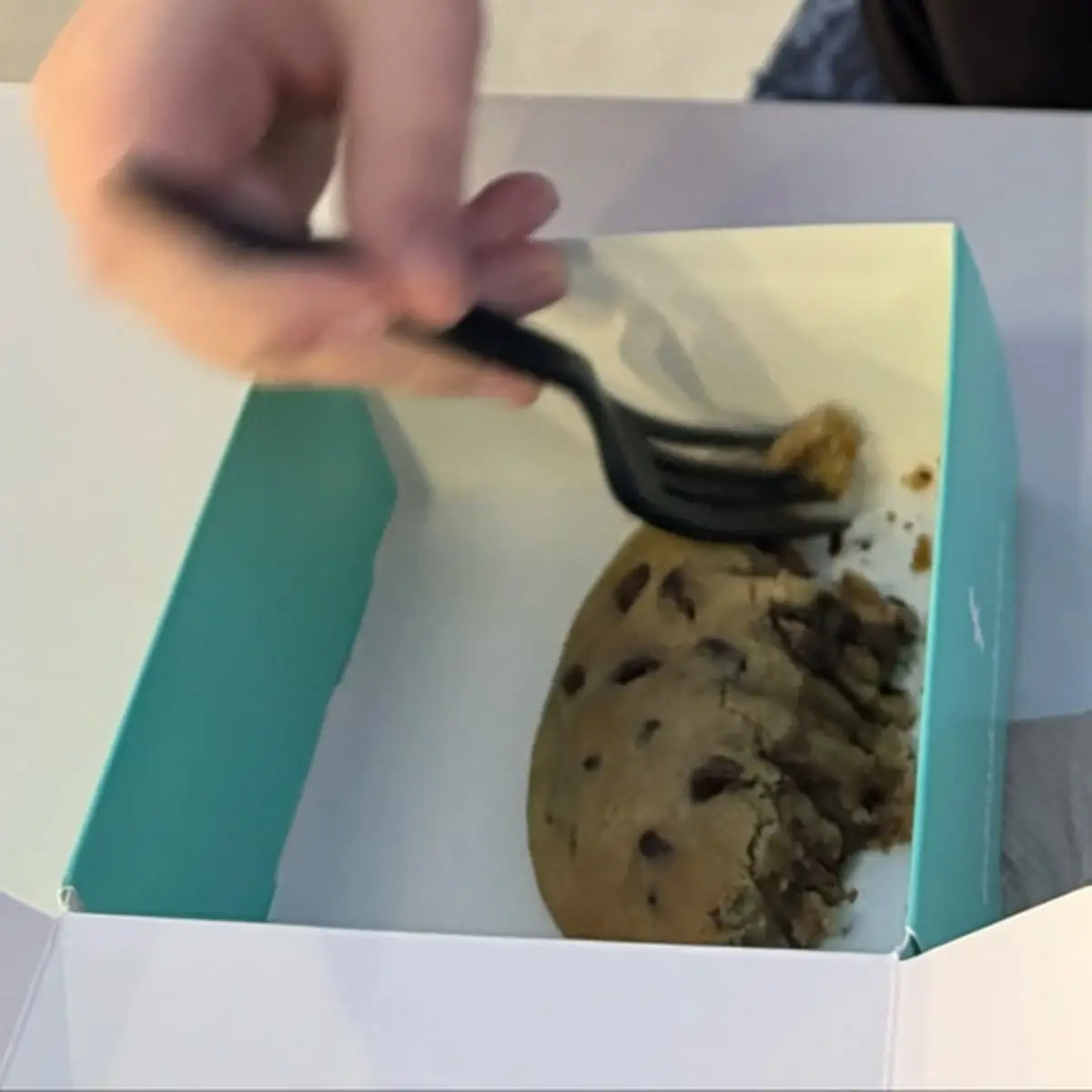 Warm Chocolate Chip Cookie