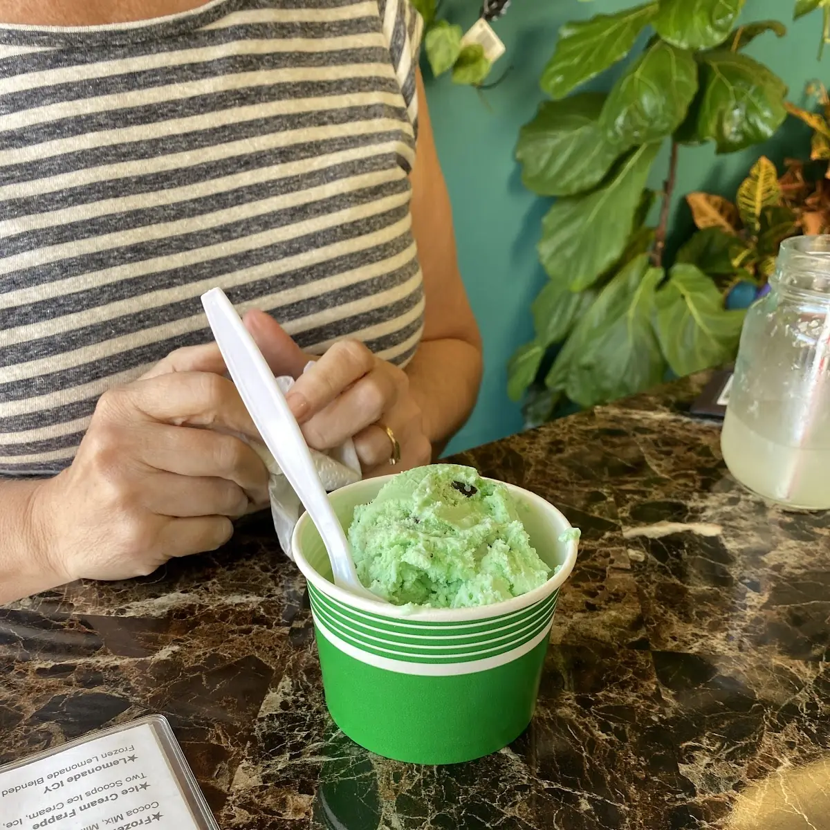Mint Chocolate Chip Ice Cream