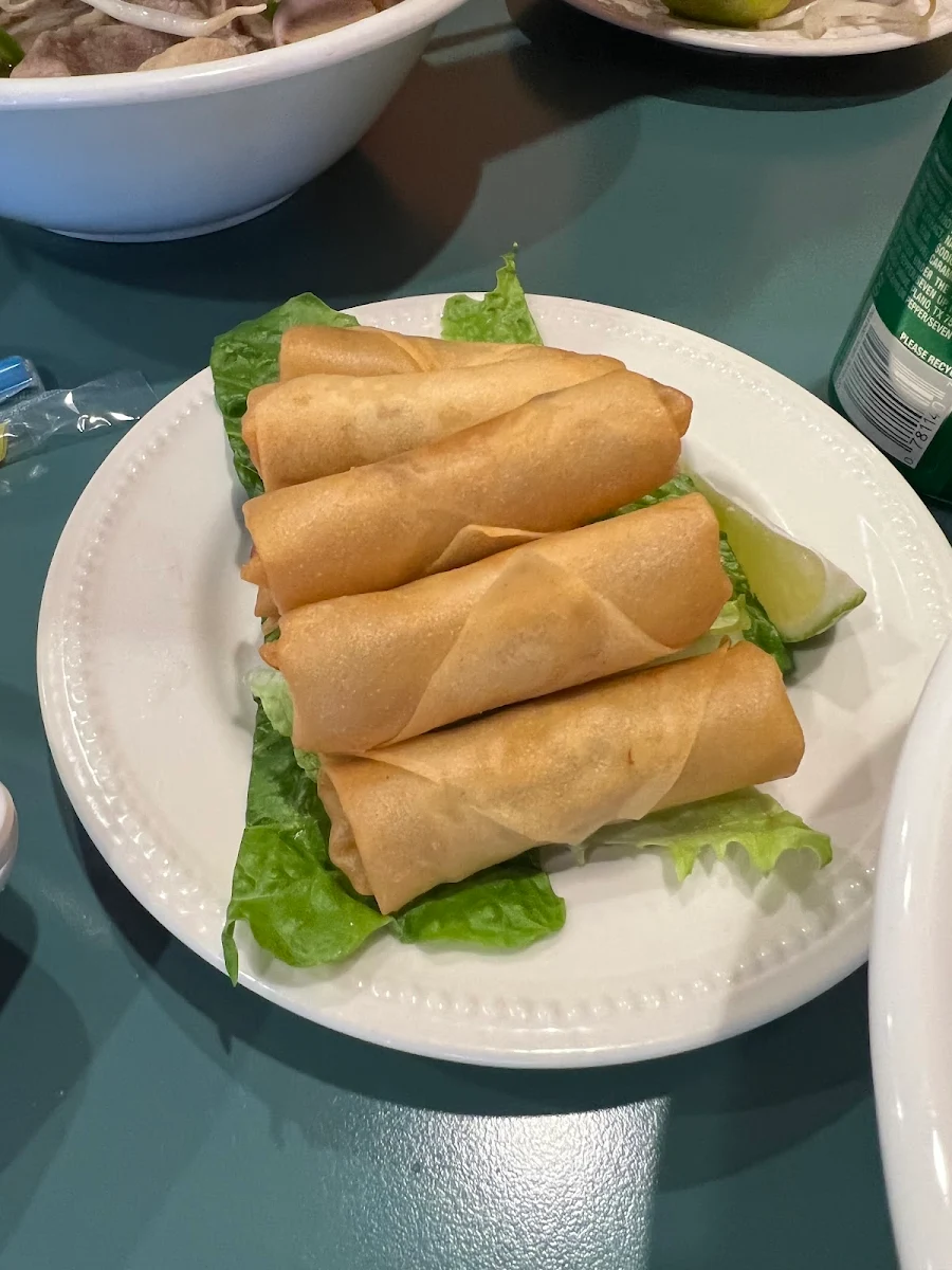 Vietnamese Spring Roll 6