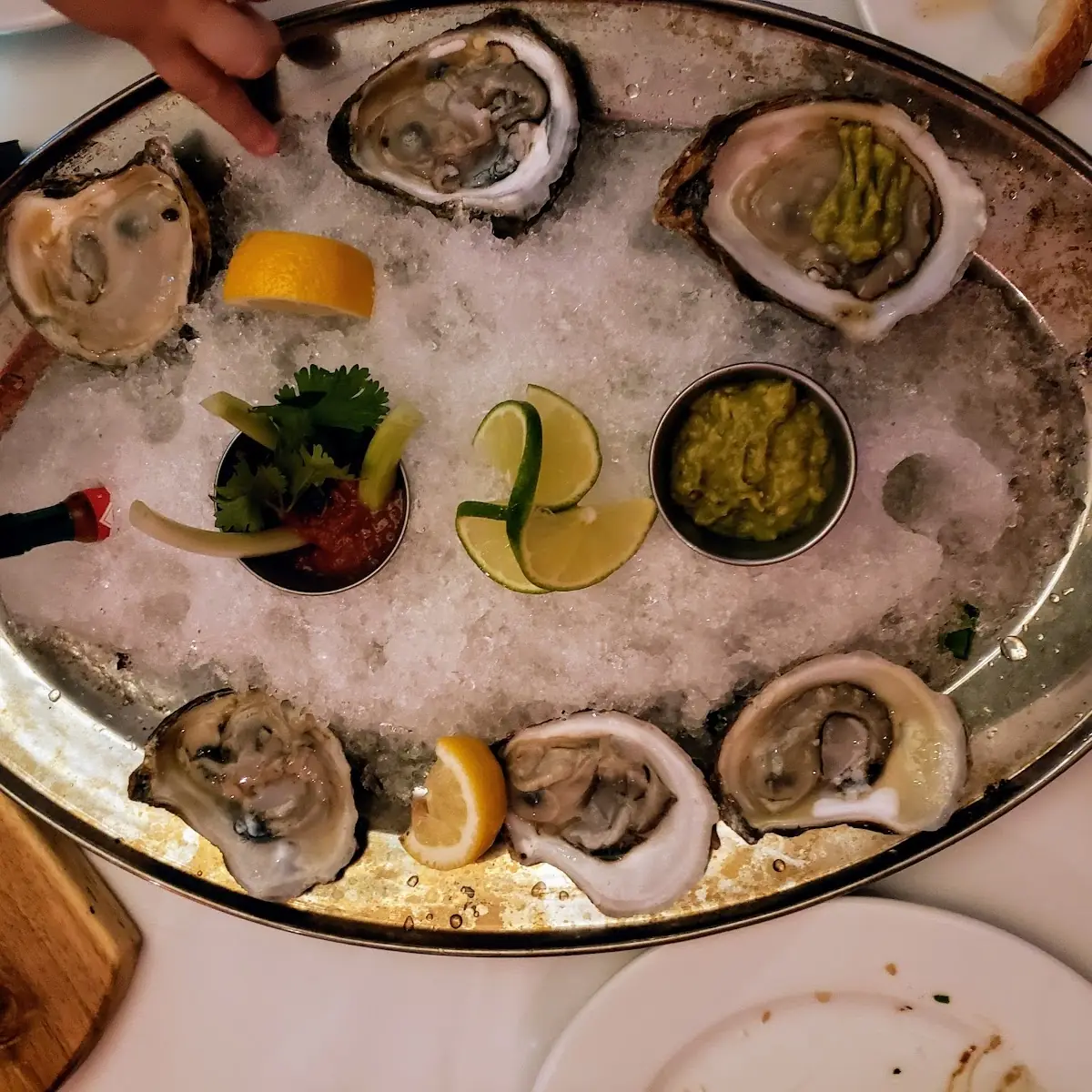 Blue Point Oysters Cocktail
