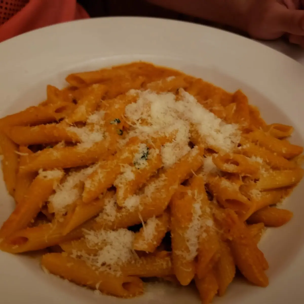 Penne Vodka with Shrimp