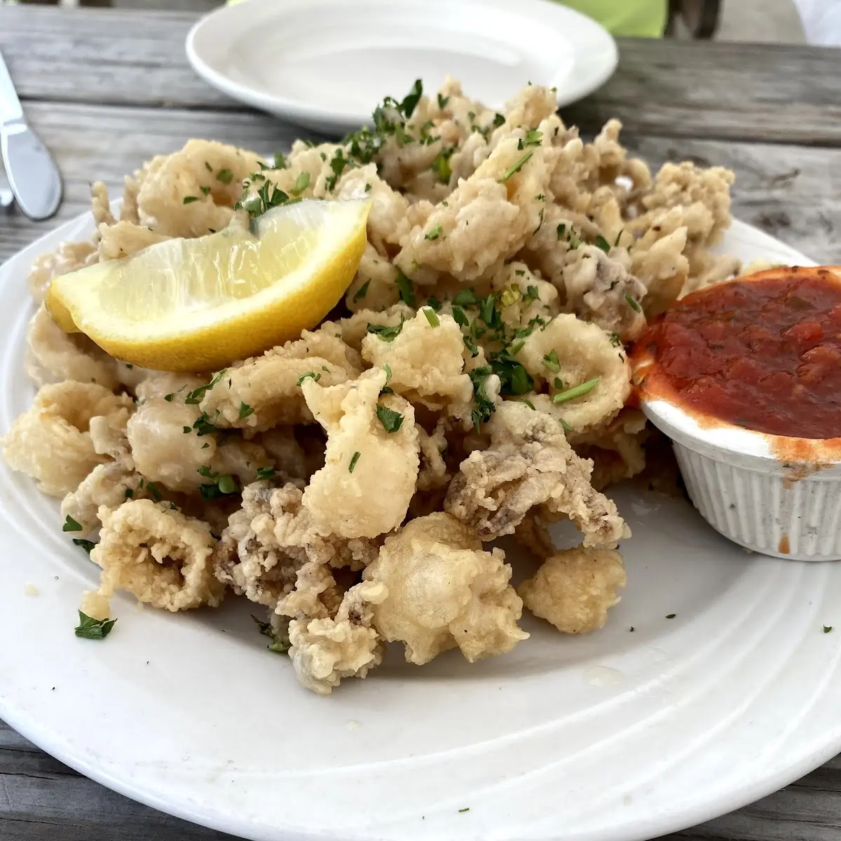 Fried Calamari