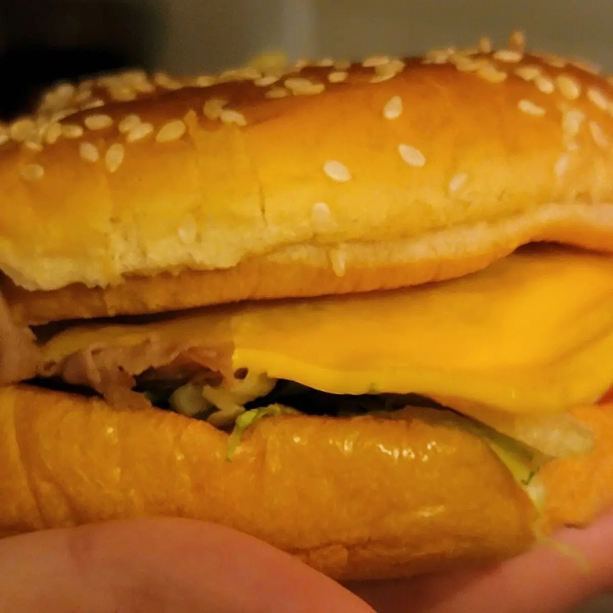 Arby's We Have the Meats