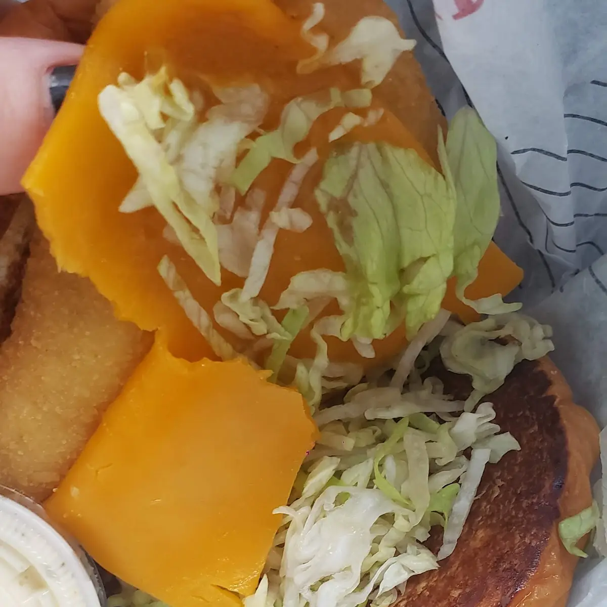 Cold Fish Sandwich