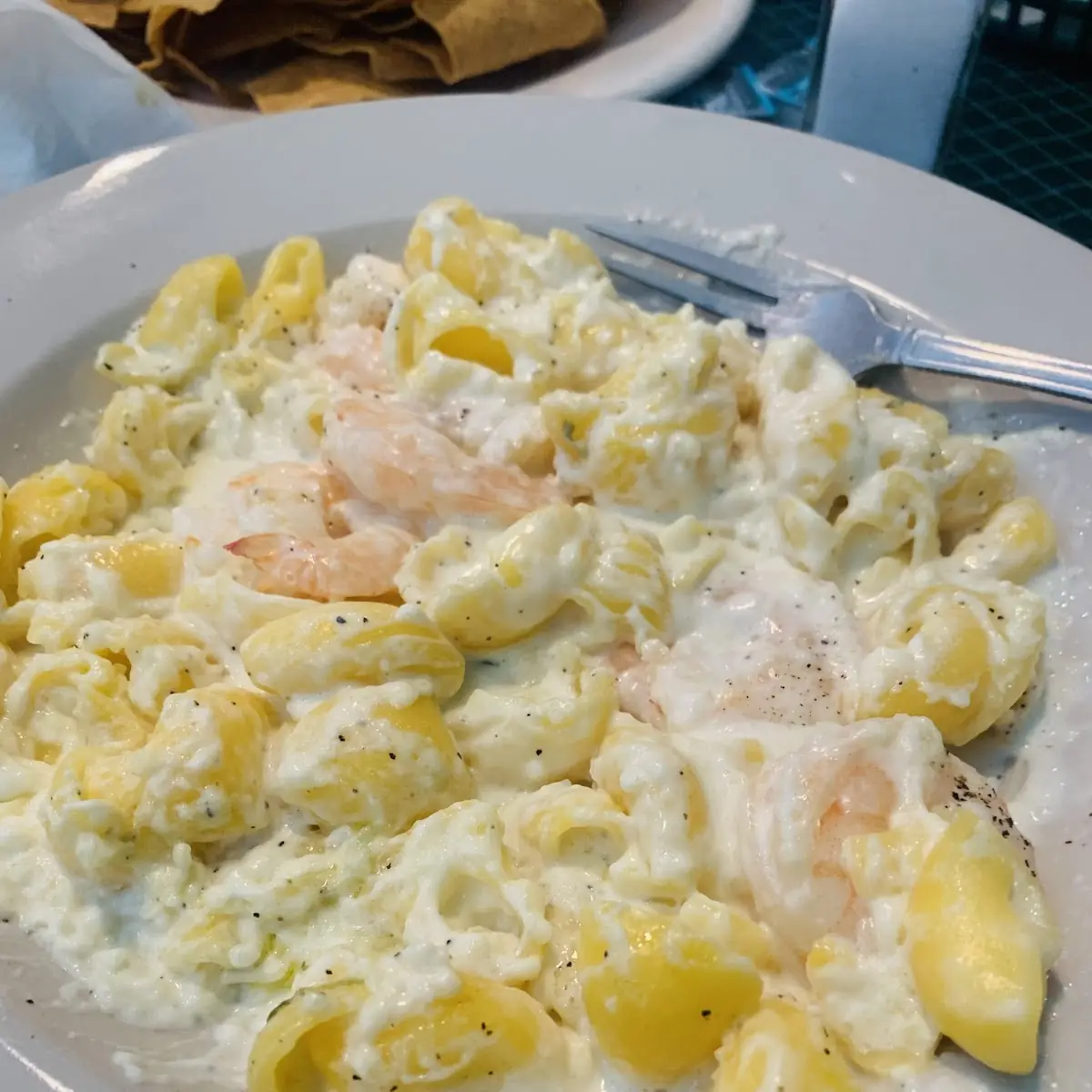 Gluten Free Shrimp Alfredo