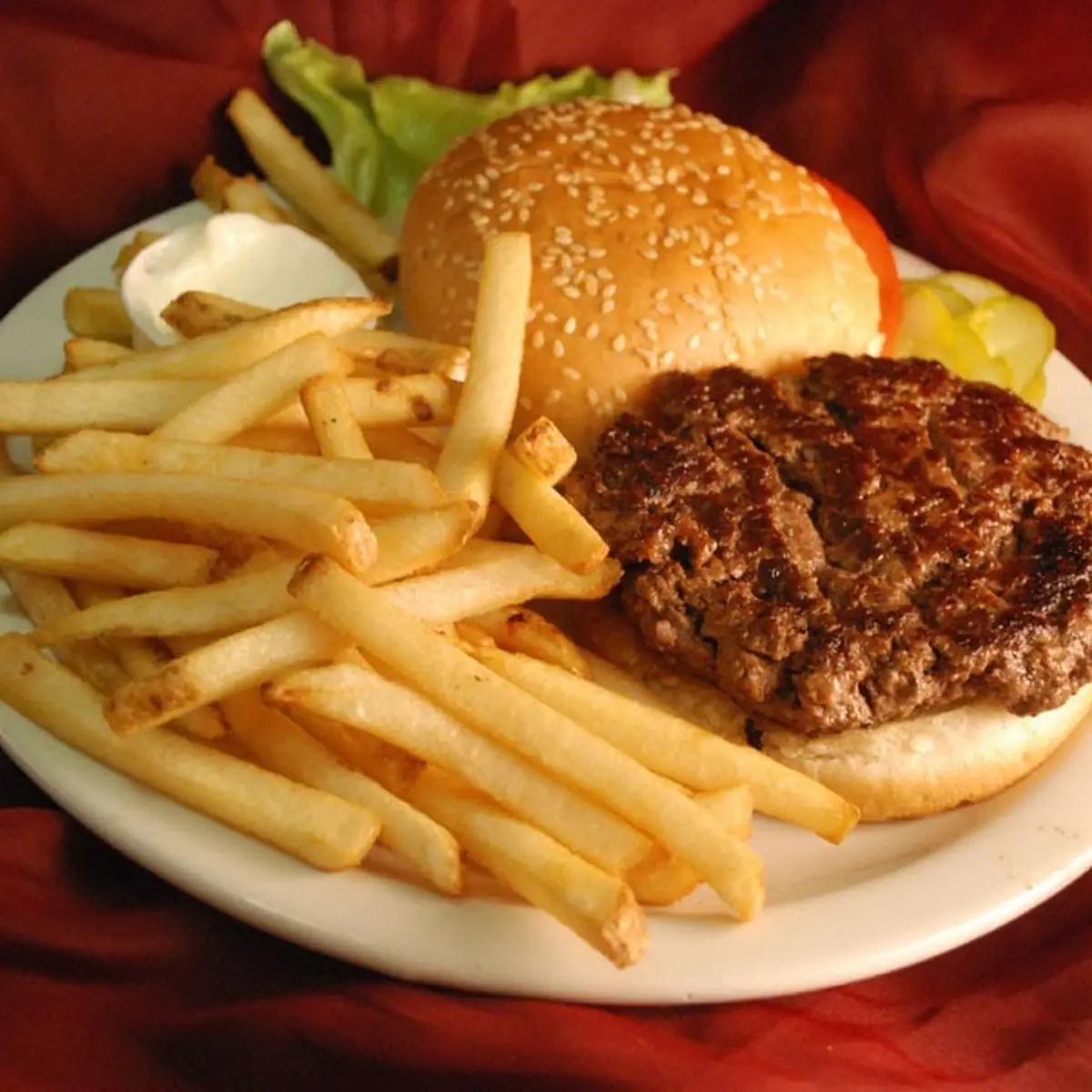 Burger and Fries