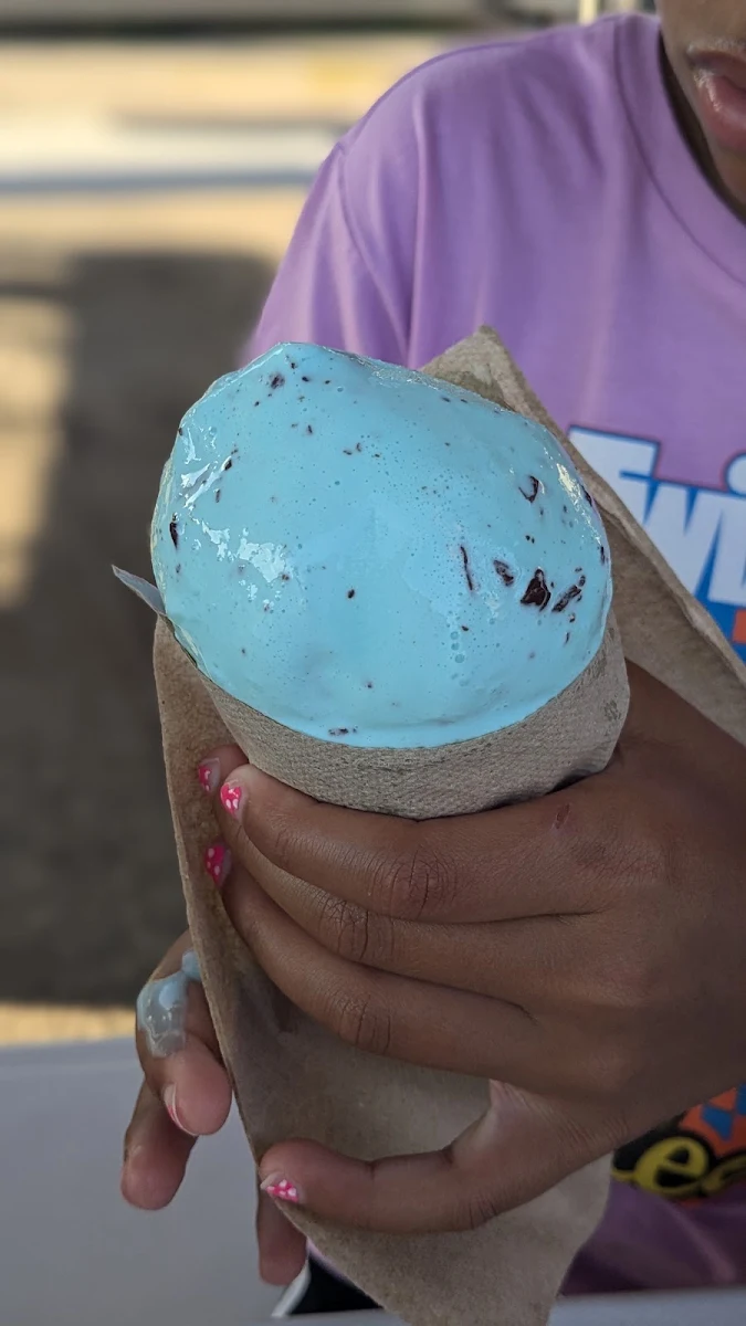 Mint Chocolate Chip