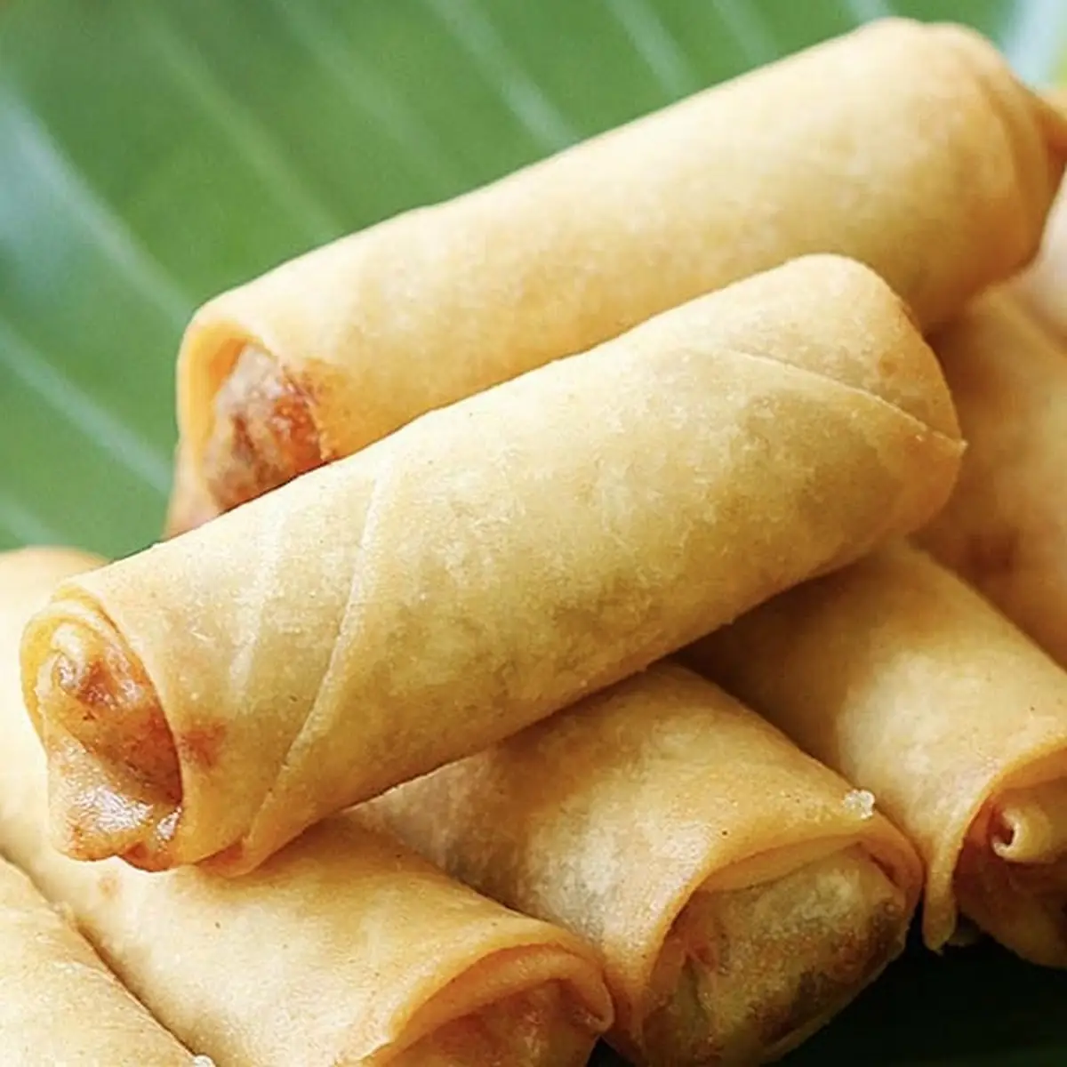 Spring Roll