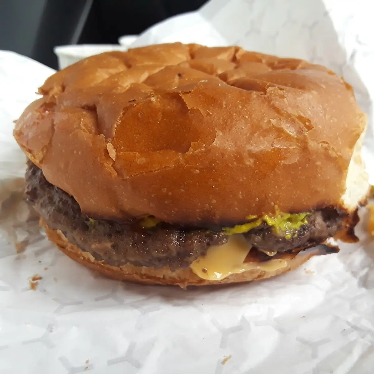 Cheeseburg with Ketchup Mustard and Pickle