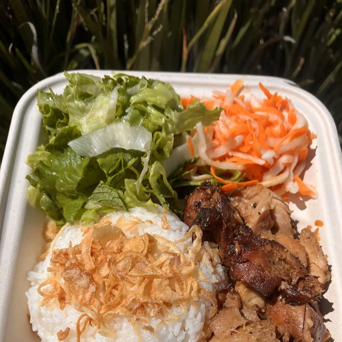 Chicken Rice Plate