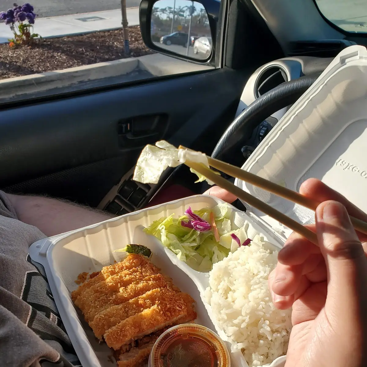 Pork Katsu