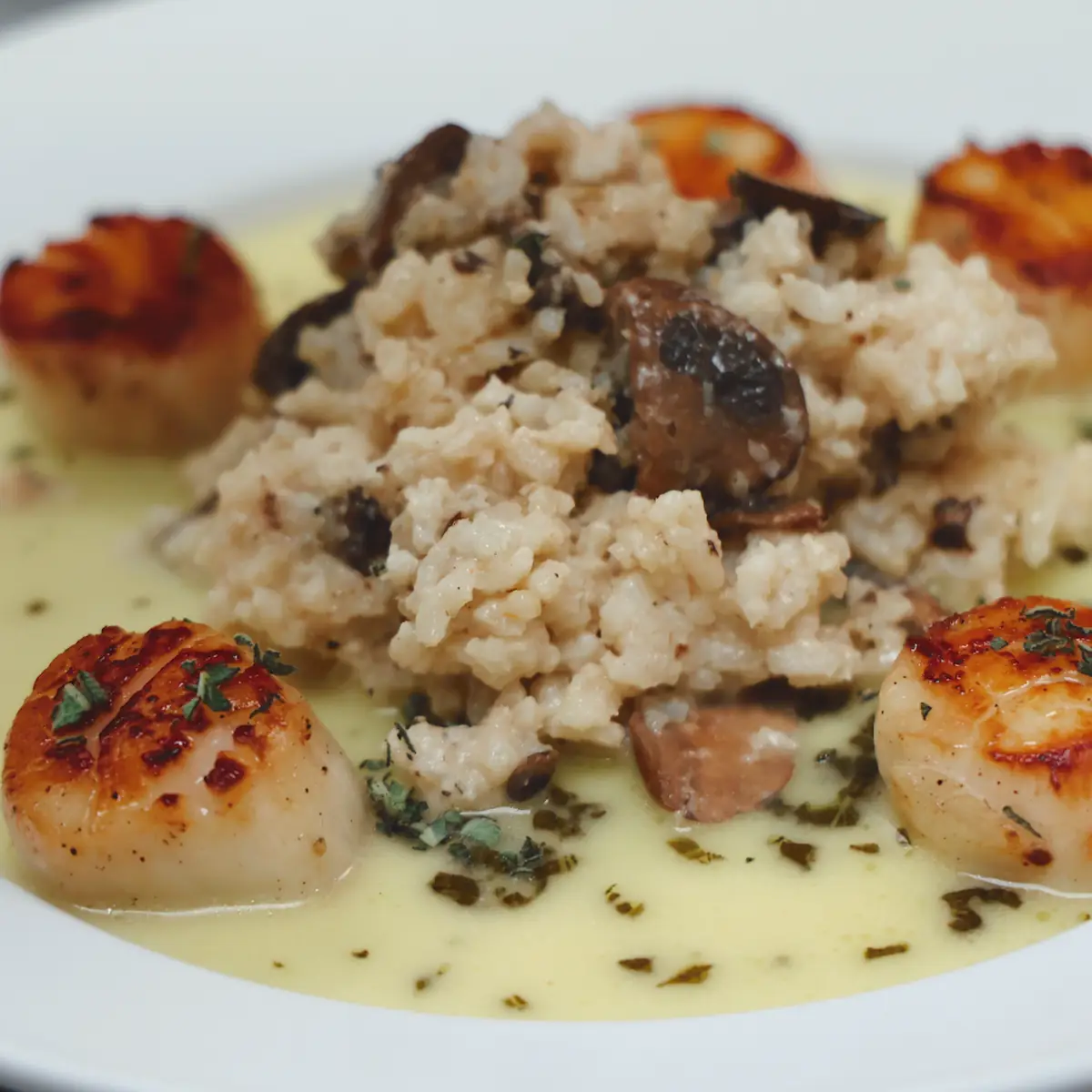 Pan Seared Scallops