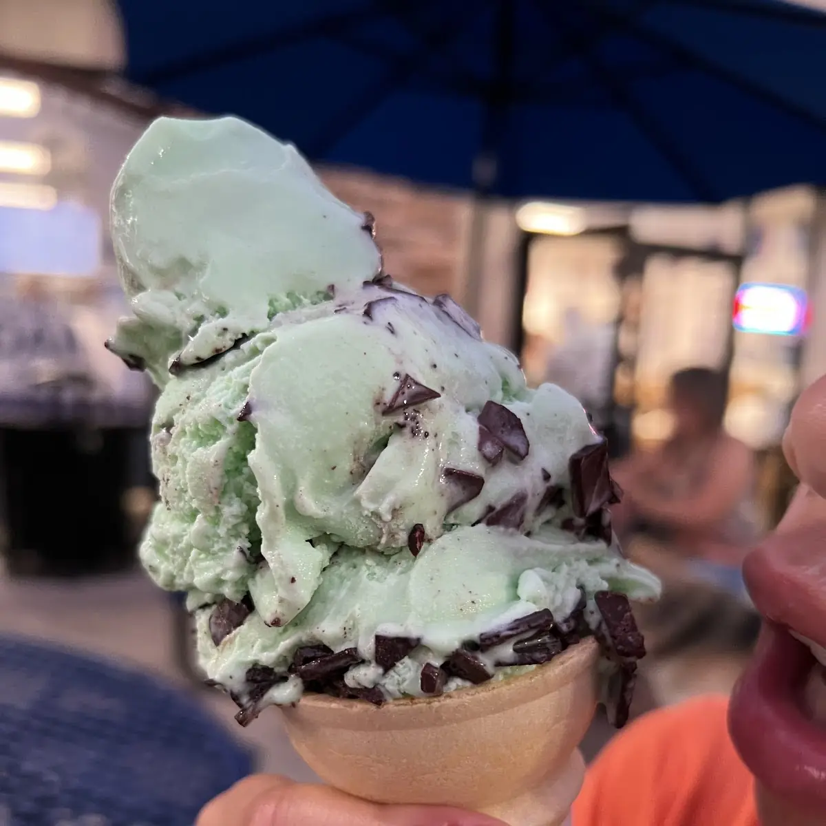 Mint Chocolate Chip Cherry Vanilla