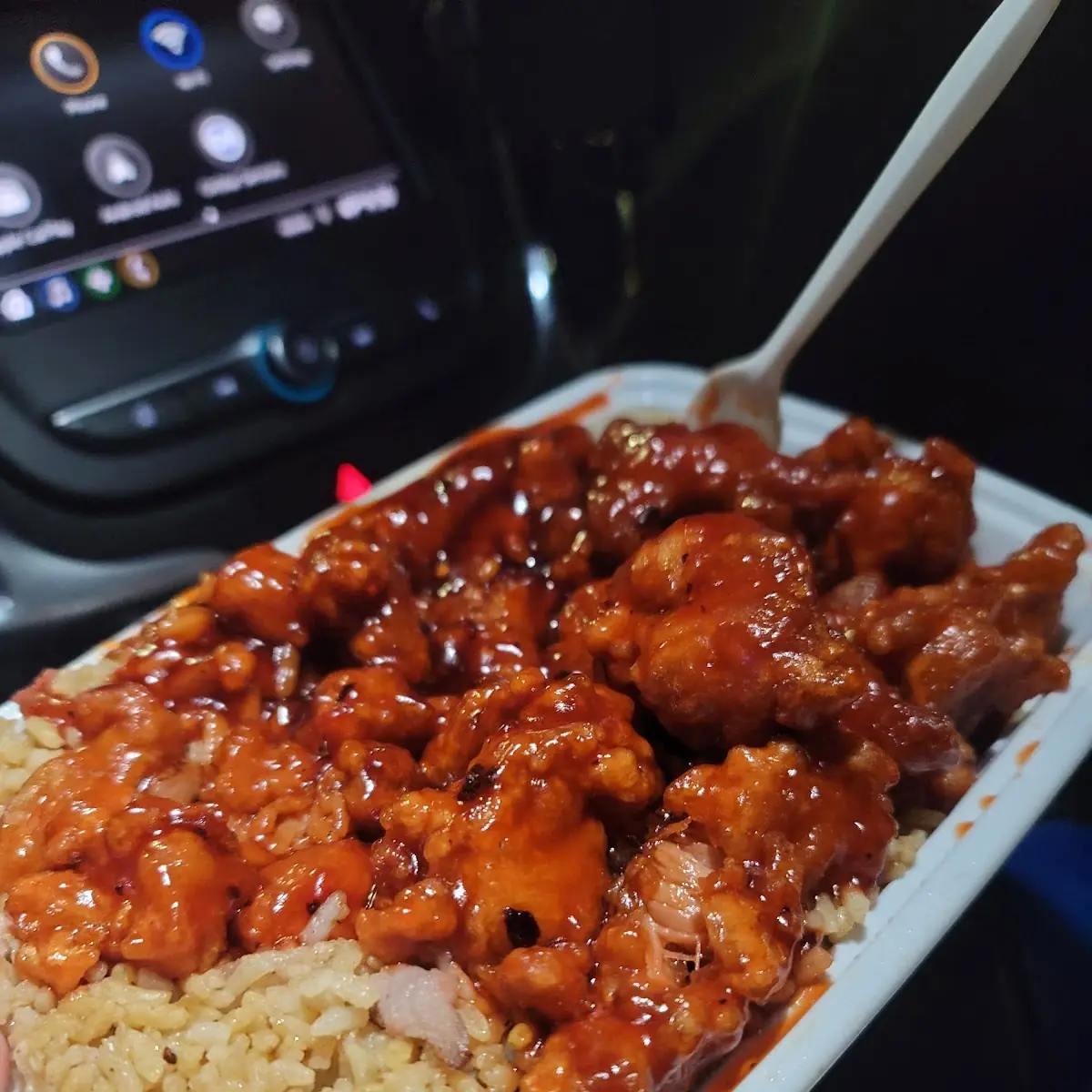 General TSO's Chicken Combination Platter