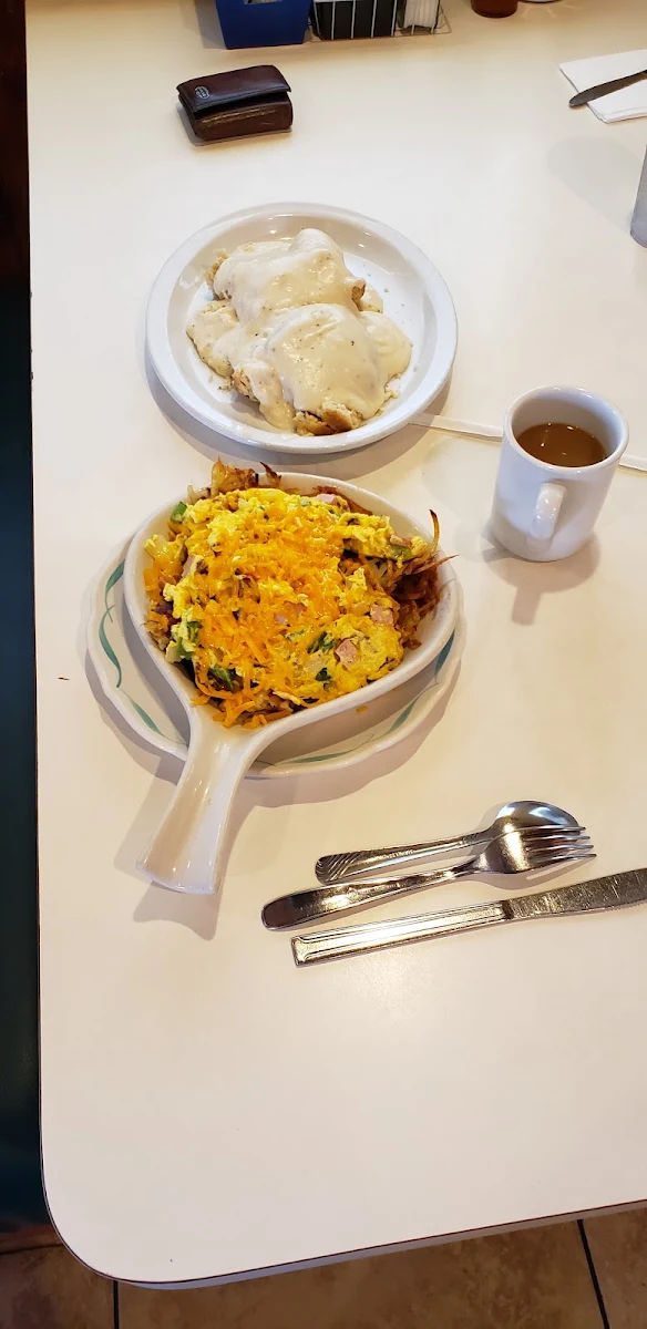 Senior Cheese Omelet