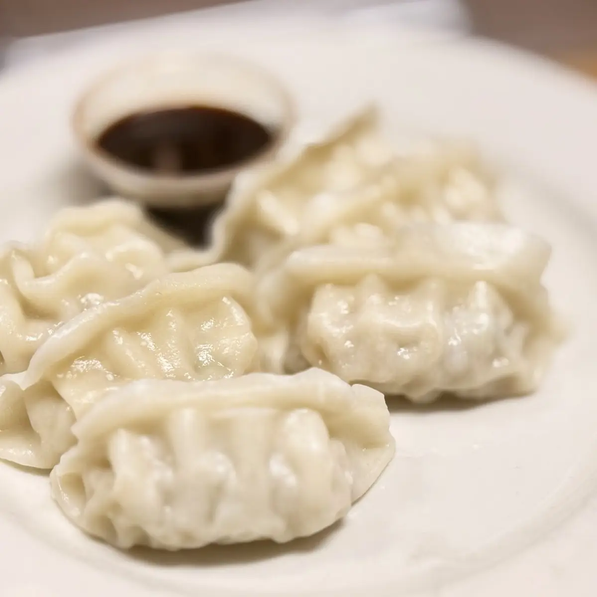 Fried Dumpling