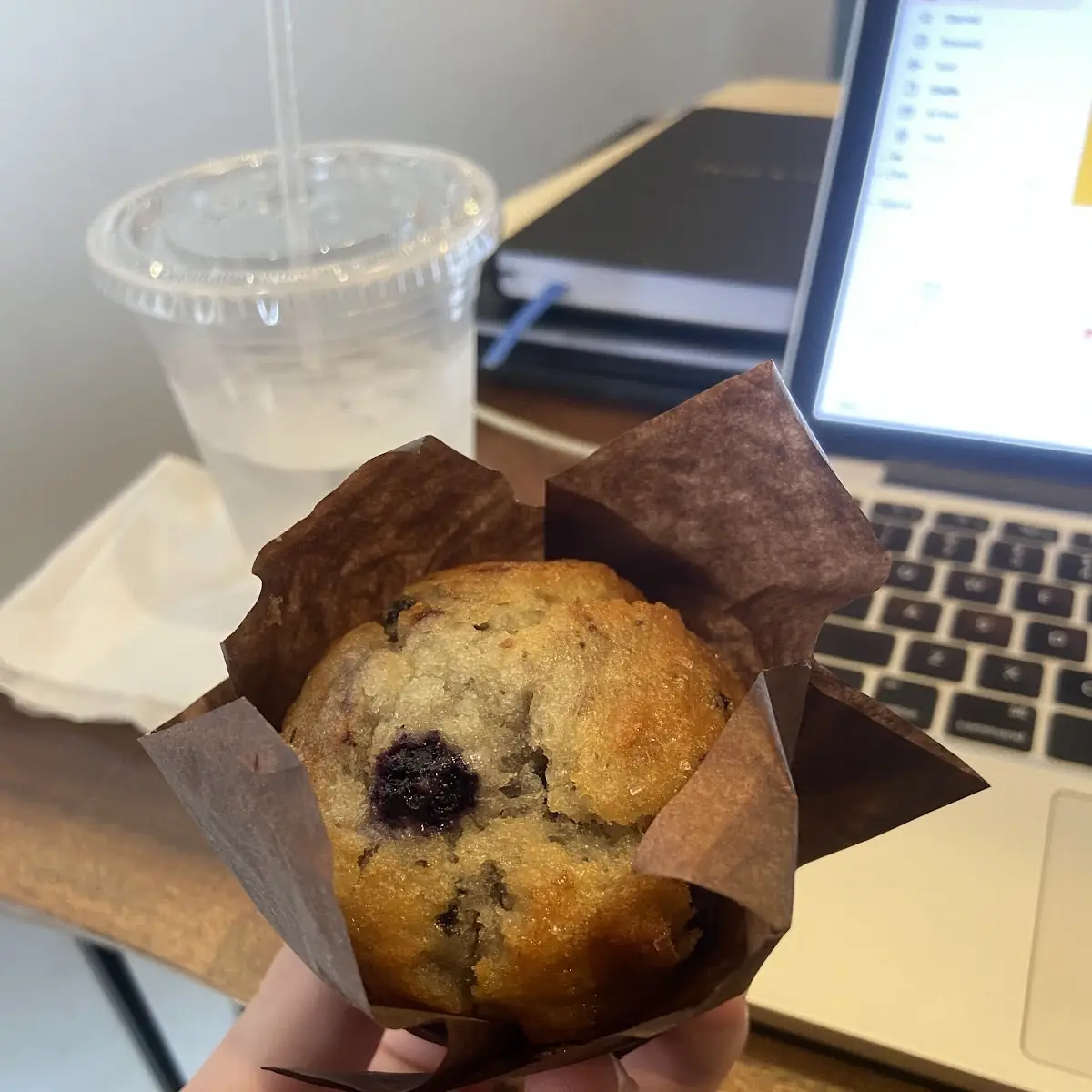 Blueberry Muffin