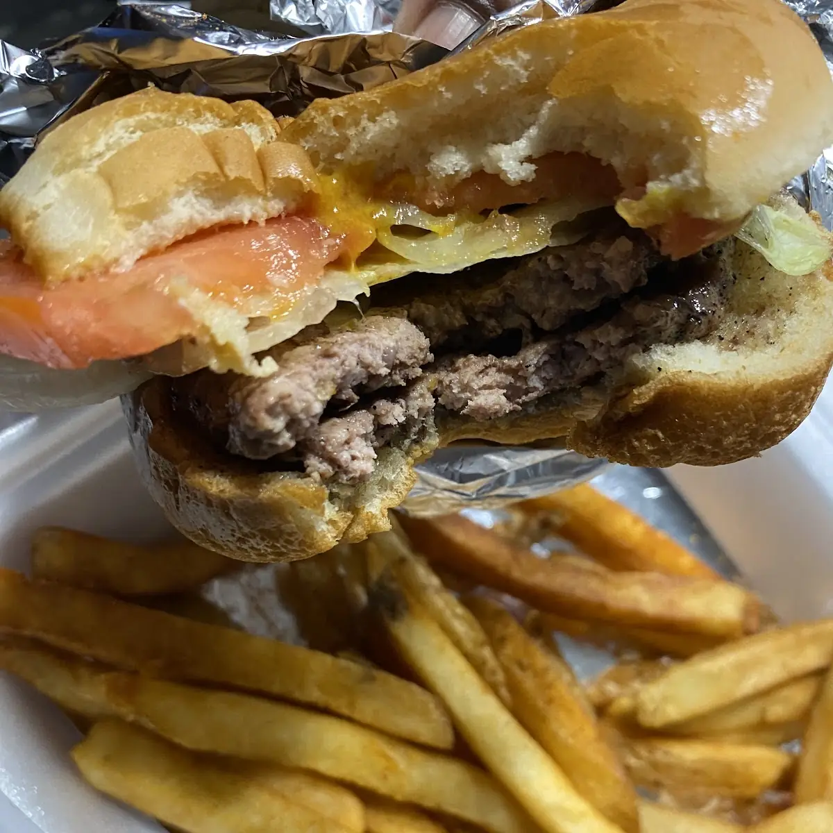 Double Cheeseburger with Fries