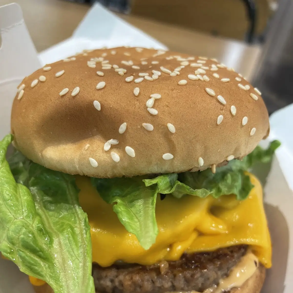 Double Cheeseburger