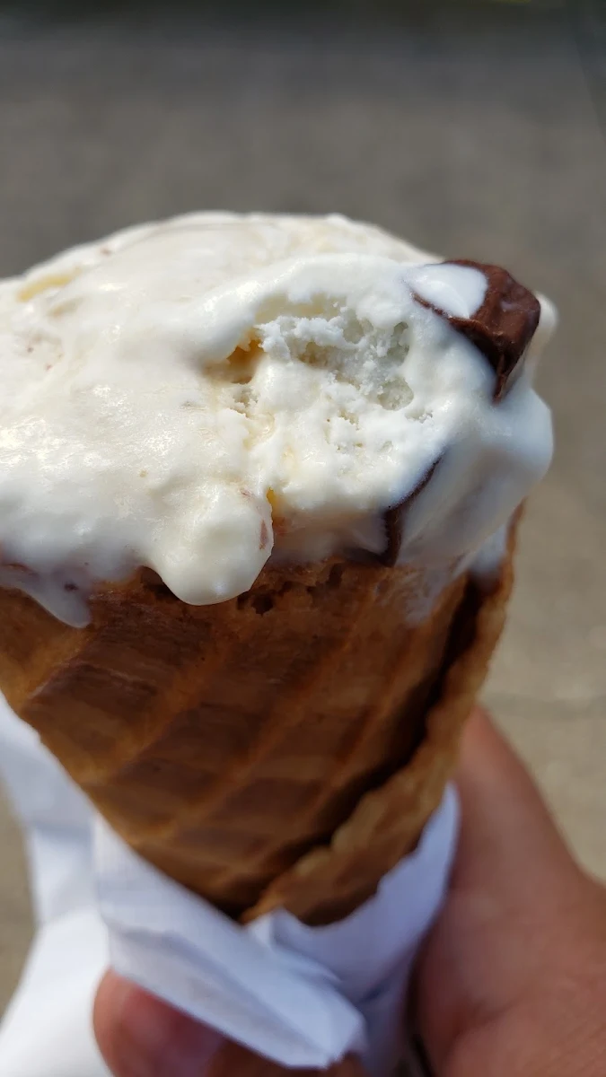 Blueberry Waffle Cone