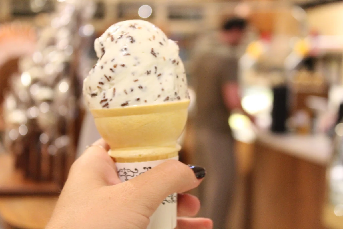 Toasted Coconut Ice Cream
