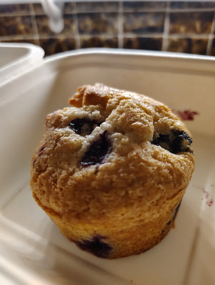 Blueberry Muffin
