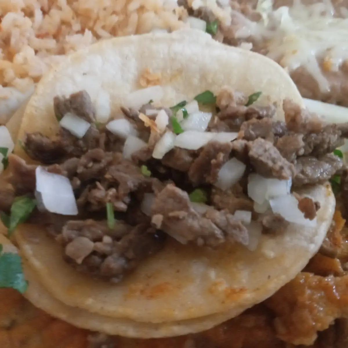 Small Taco Rice Beans Enchilada Chile Relleno