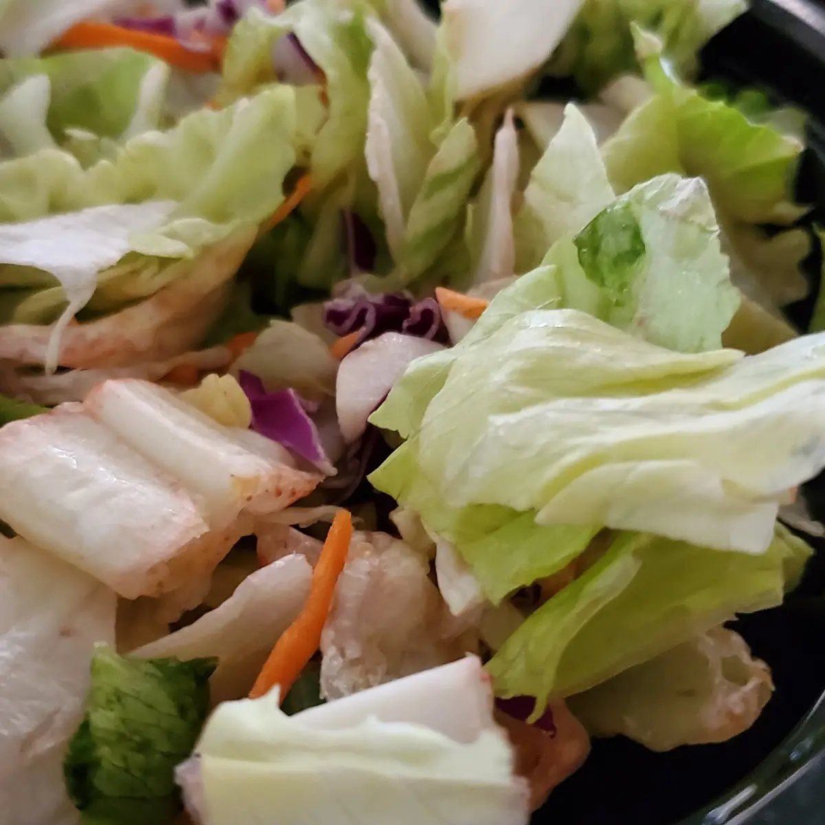 Fresh Garden Salad