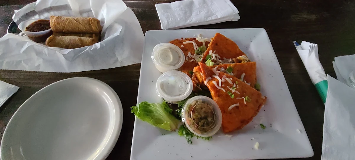 Steak Quesadilla