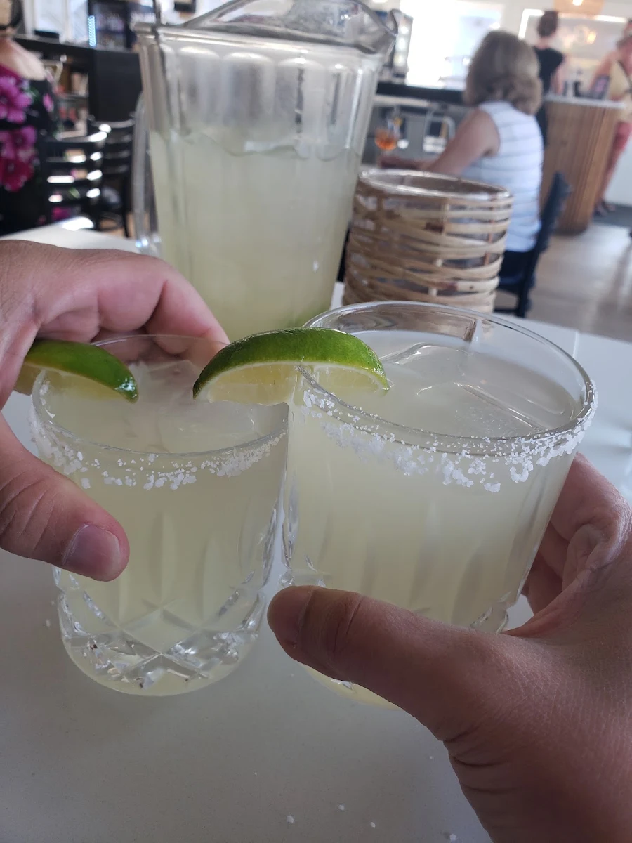 Margarita Pitch, Socialē